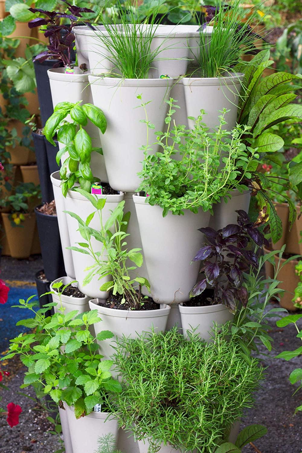 GreenStalk Patented Large 5 Tier Vertical Garden Planter with Patented Internal Watering System Great for Growing a Variety of Strawberries, Vegetables, Herbs, & Flowers (Stunning Stone)