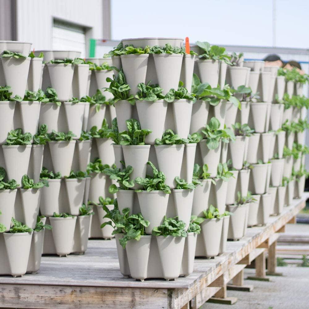 GreenStalk Patented Large 5 Tier Vertical Garden Planter with Patented Internal Watering System Great for Growing a Variety of Strawberries, Vegetables, Herbs, & Flowers (Stunning Stone)