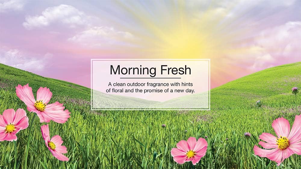 LITTLE TREES Air Fresheners Car Air Freshener. Hanging Tree Provides Long Lasting Scent for Auto or Home. Morning Fresh, 24 Air Fresheners