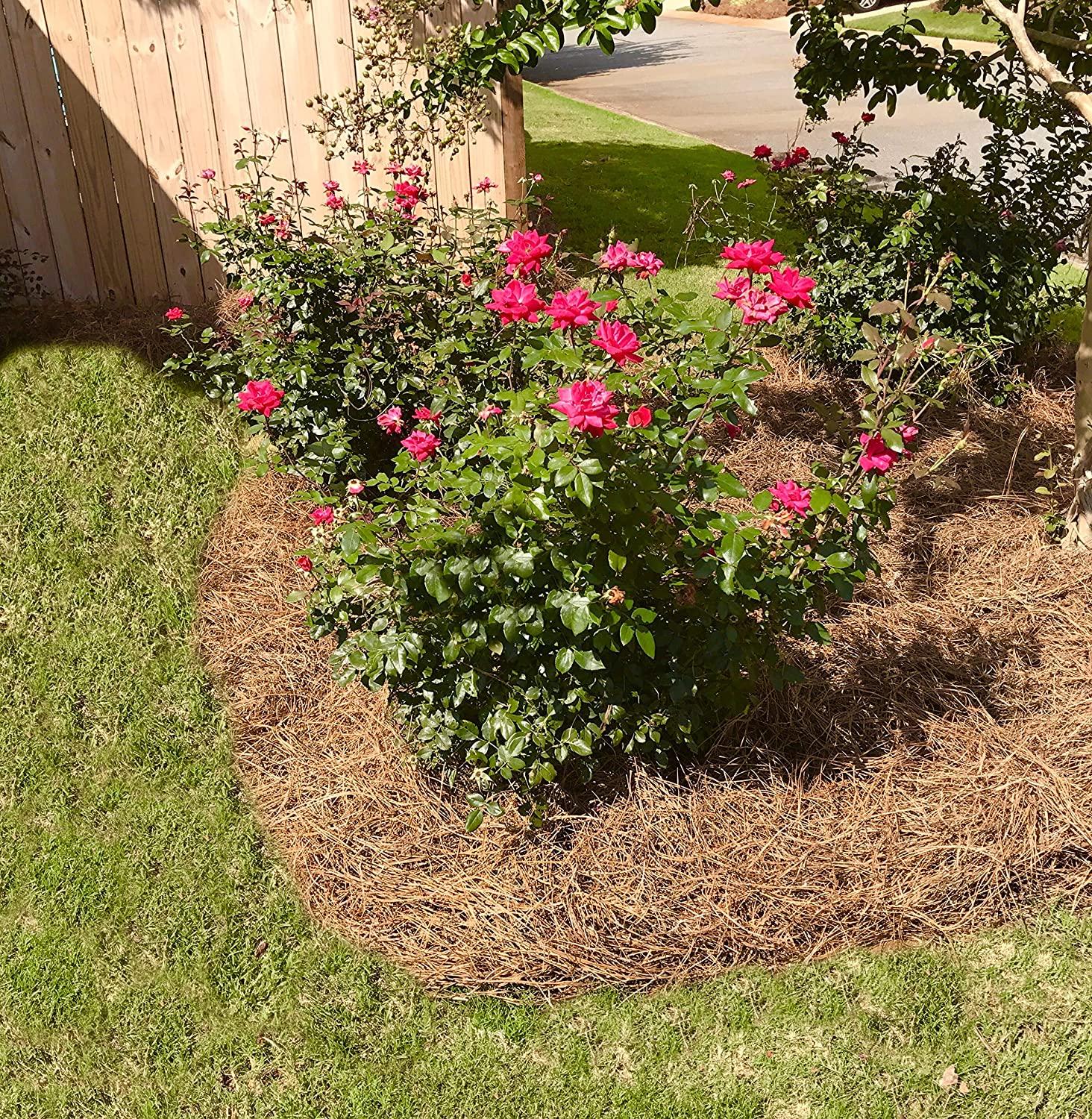 USA Pine Straw - Premium Pine Needle Mulch - Covers 300 Sqft (1)