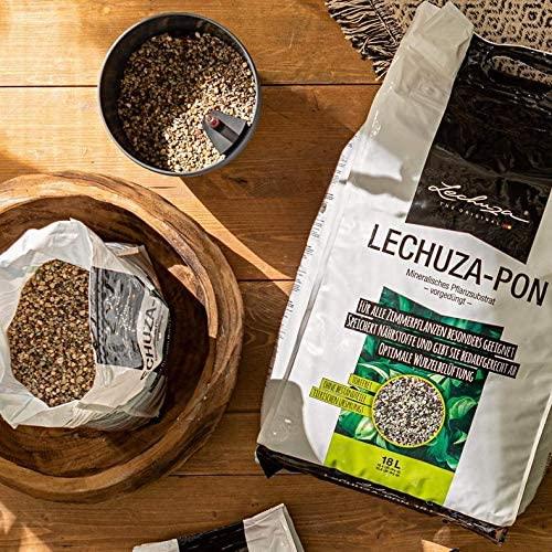 Lechuza PON - 12l
