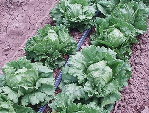 Drip Tape Row Crop Kit - Small