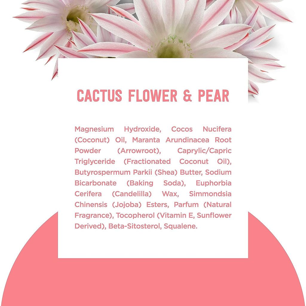 Schmidt's 100% Natural Origin Ingredient Deodorant Stick Cactus Flower &amp; Pear 2 Count for 24-Hour Odor Protection 2.65 oz