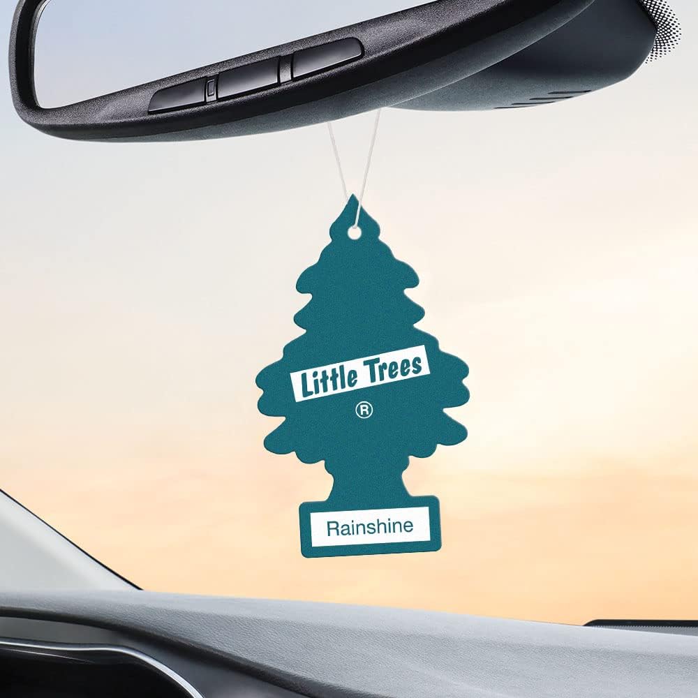 LITTLE TREES Air Fresheners Car Air Freshener. Hanging Tree Provides Long Lasting Scent for Auto or Home. Rainshine, 24 Air Fresheners