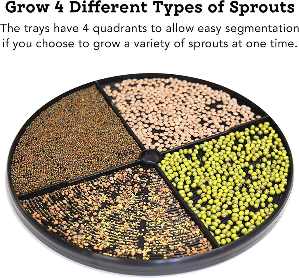 Tribest Fresh Life Sprouter FL-3000 Automatic Seed Sprouter For Sprouting Seeds, Green
