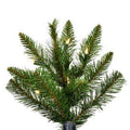 Vickerman 9' x 64" Bennington Spr Dura-Lit 1100CL - G198381