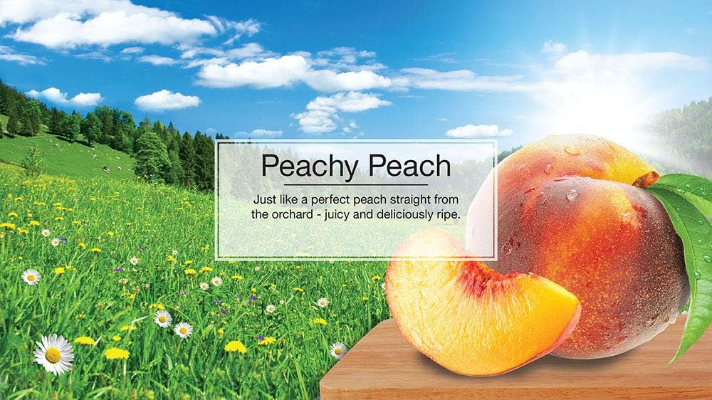 LITTLE TREES Air Fresheners Car Air Freshener. Hanging Tree Provides Long Lasting Scent for Auto or Home. Peachy Peach, 24 Air Fresheners