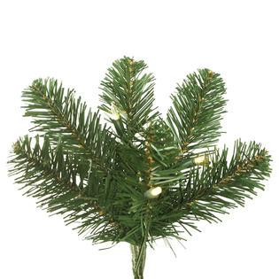 Vickerman 8.5' x 72" Oregon Fir WA 1150LED WmWht - C164181LED