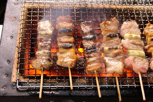 JP BBQ Yakitori Diatomite Charcoal Grill Shichirin Hibachi Konro 21.3 x 9.1 inch