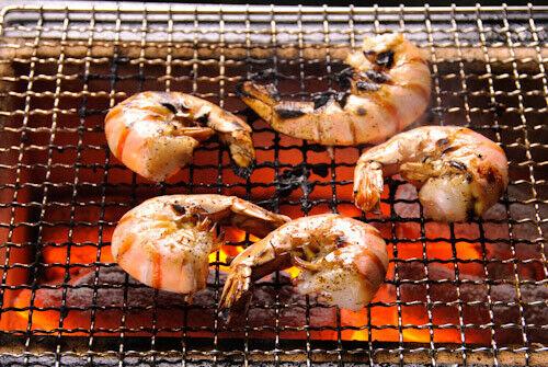 JP BBQ Yakitori Diatomite Charcoal Grill Shichirin Hibachi Konro 21.3 x 9.1 inch