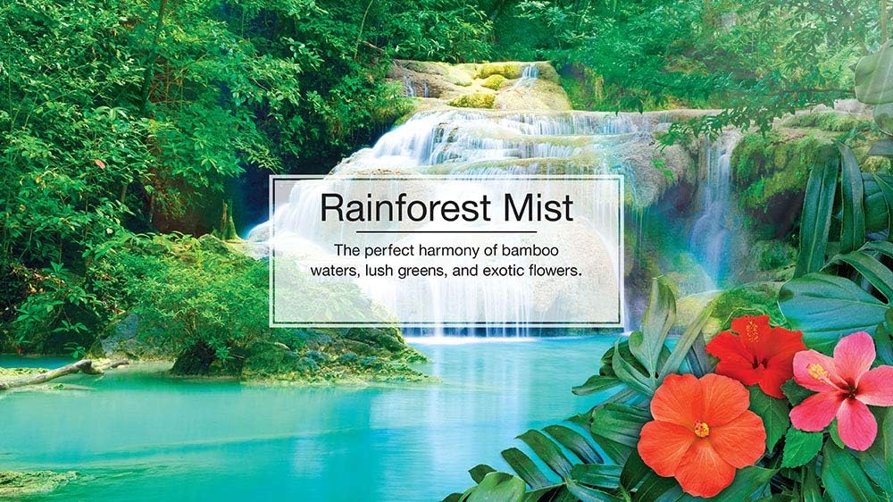 LITTLE TREES Air Fresheners Car Air Freshener. Hanging Tree Provides Long Lasting Scent for Auto or Home. Rainforest Mist, 24 Air Fresheners