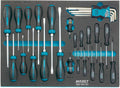 Hazet 163-141/31 Screwdriver set with tool tray insert (31 Piece)