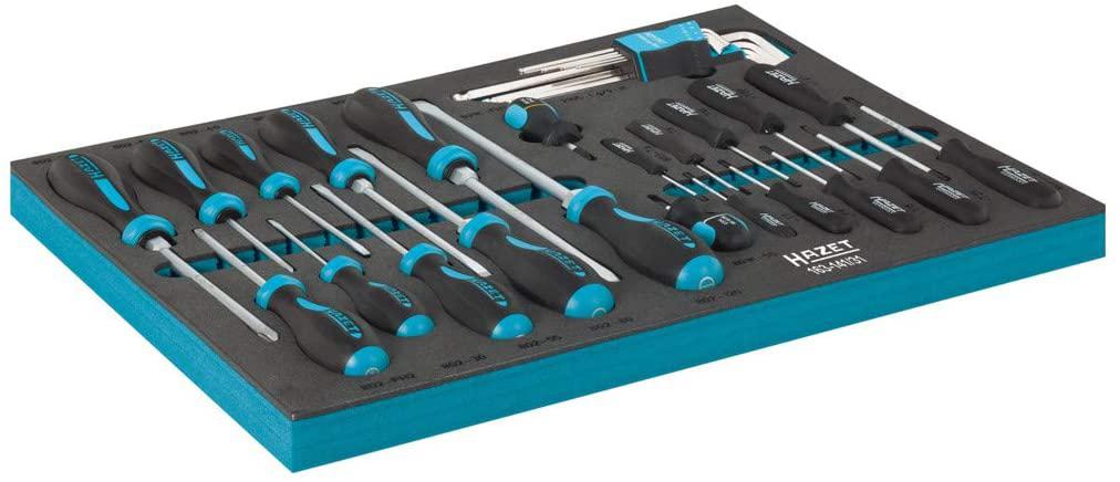 Hazet 163-141/31 Screwdriver set with tool tray insert (31 Piece)