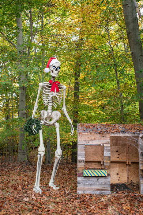 Home Accents Holiday 12 ft Giant-Sized Skeleton