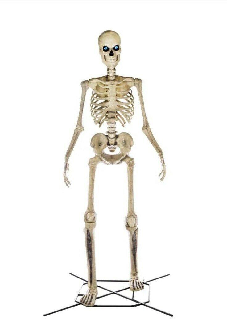 Home Accents Holiday 12 ft Giant-Sized Skeleton