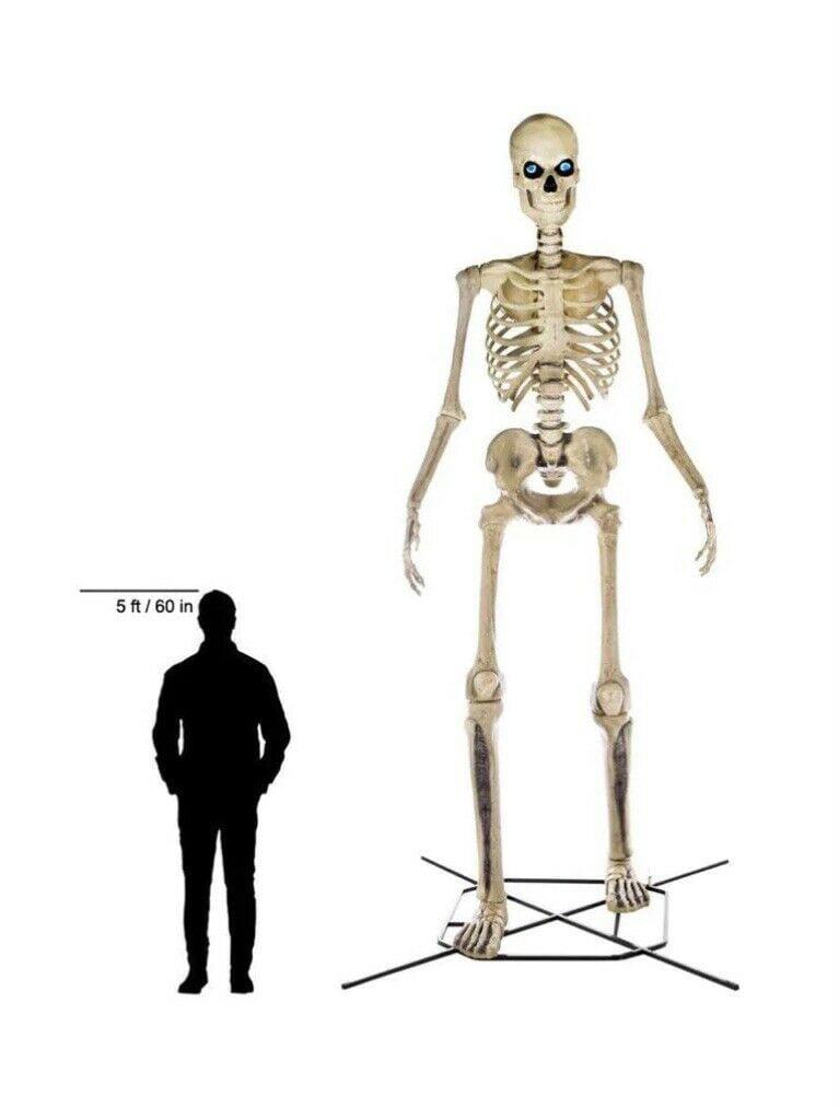Home Accents Holiday 12 ft Giant-Sized Skeleton