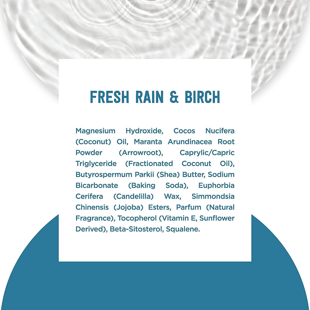 Schmidt's 100% Natural Origin Ingredient Deodorant Stick Fresh Rain &amp; Birch 2 Count for 24-Hour Odor Protection 2.65 oz