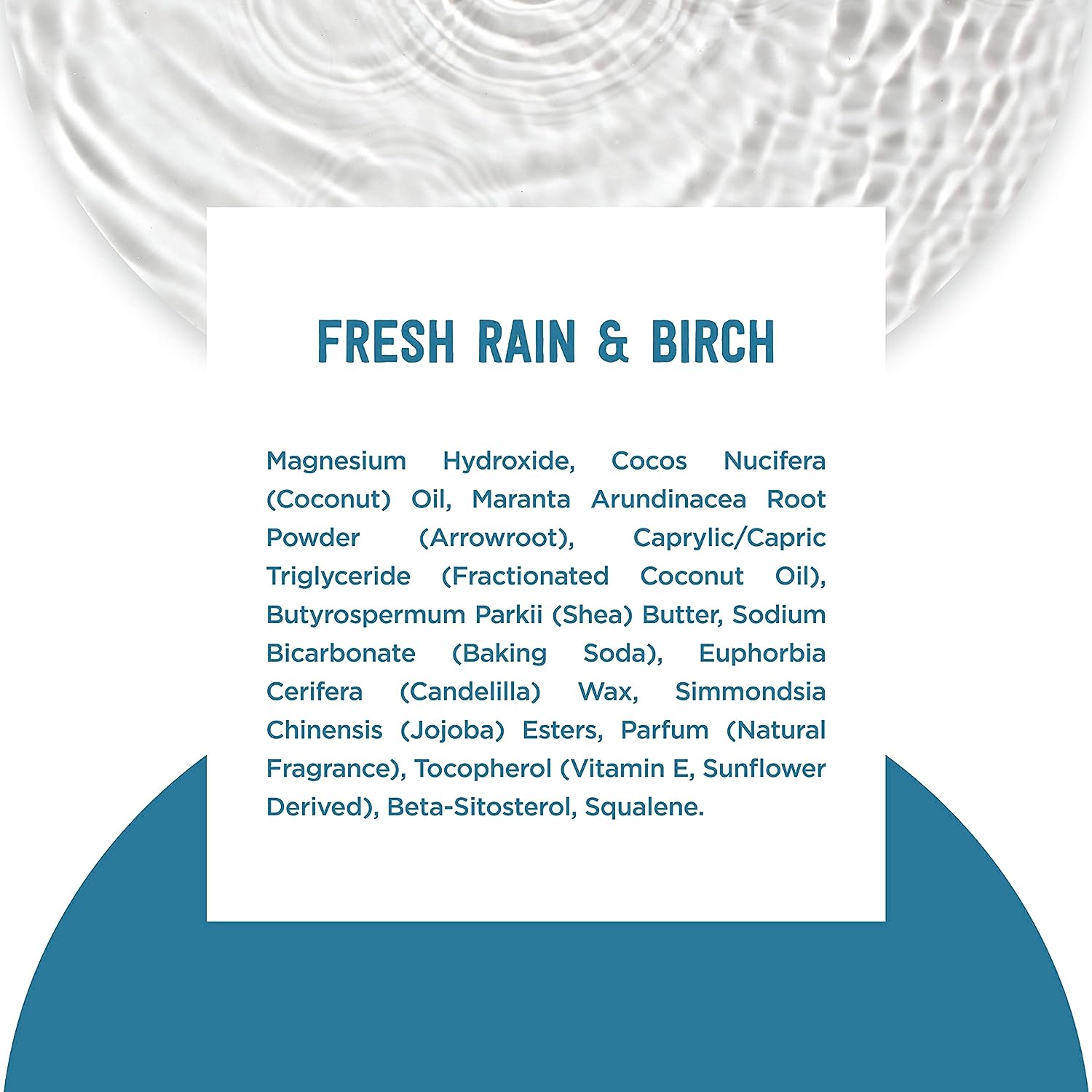 Schmidt's 100% Natural Origin Ingredient Deodorant Stick Fresh Rain &amp; Birch 2 Count for 24-Hour Odor Protection 2.65 oz