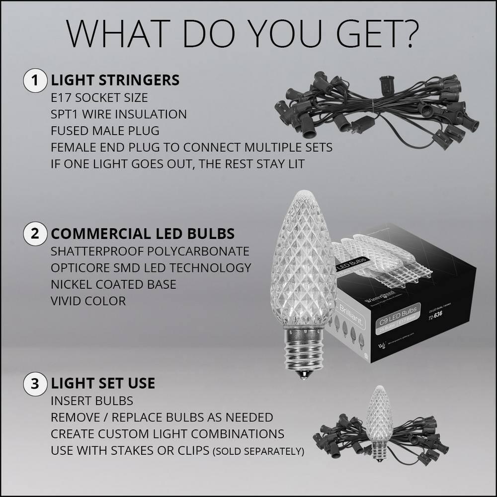 OptiCore 49 ft. 50-Light LED Green and Cool White Faceted C9 String Light Set