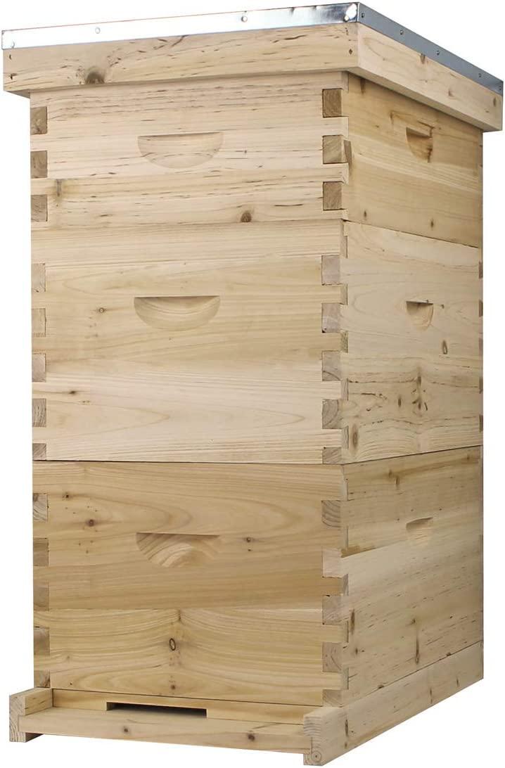 Bee Hive Complete with Frames & Wax Coated Foundations (NU8-2D1M)