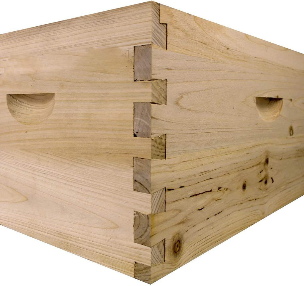 Bee Hive Complete with Frames & Wax Coated Foundations (NU8-2D1M)