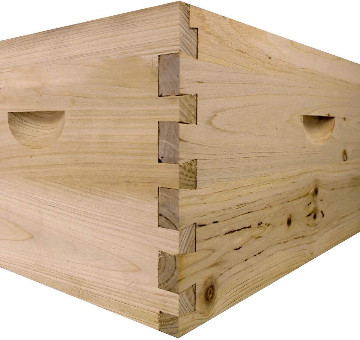 Starter Bee Hive with Frames & Wax Coated Foundations (NU8-1D1M)