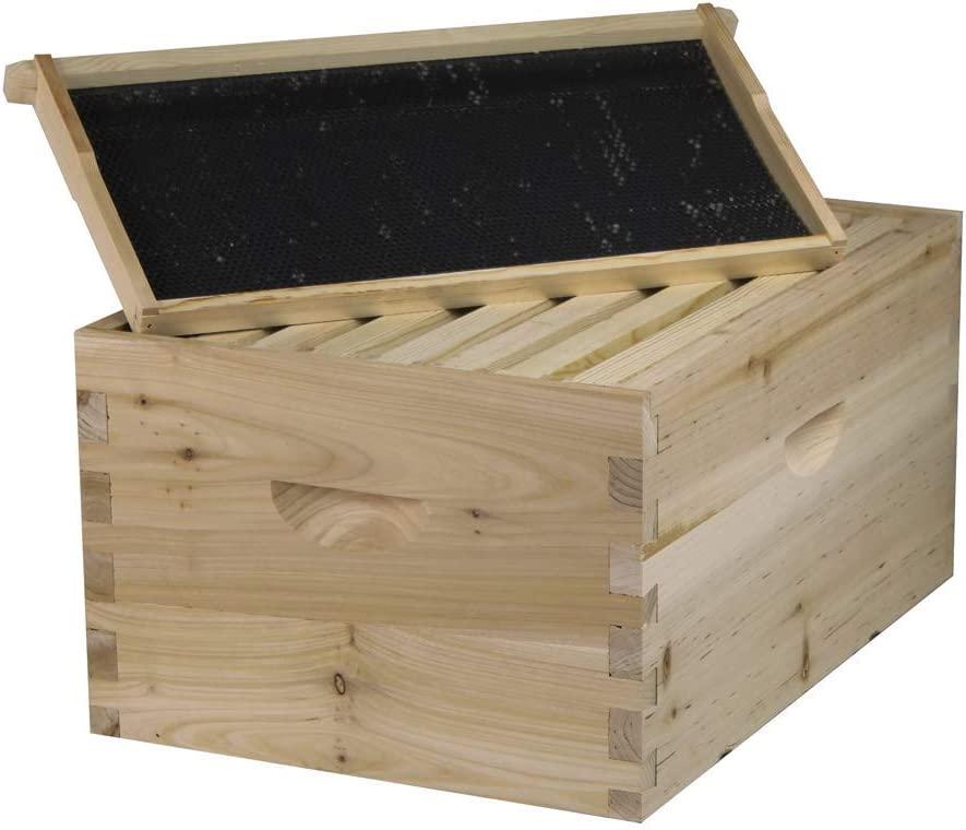 Starter Bee Hive with Frames & Wax Coated Foundations (NU8-1D1M)