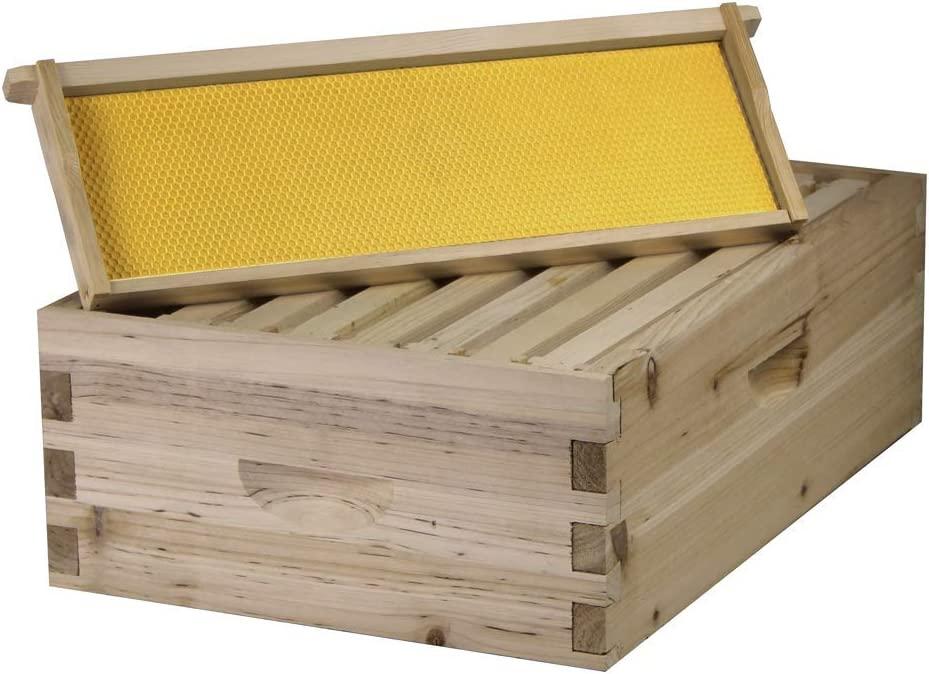 Bee Hive Complete with Frames & Wax Coated Foundations (NU8-2D1M)