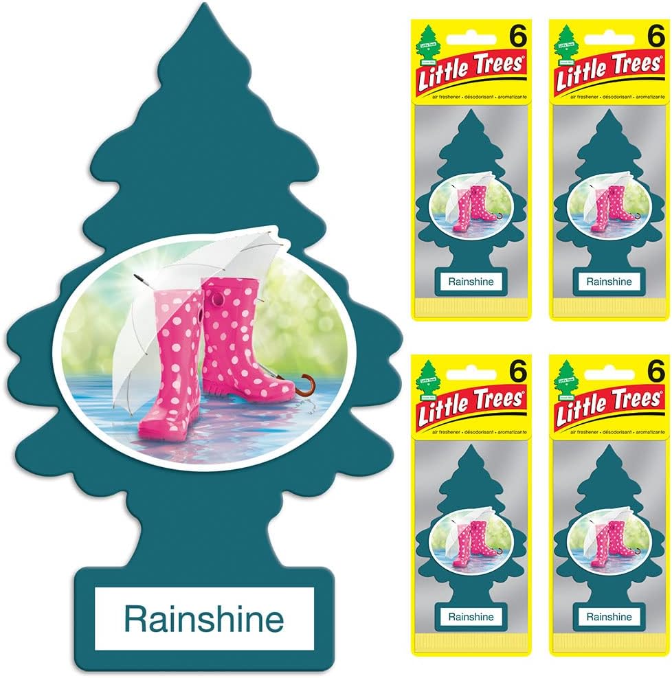 LITTLE TREES Air Fresheners Car Air Freshener. Hanging Tree Provides Long Lasting Scent for Auto or Home. Rainshine, 24 Air Fresheners