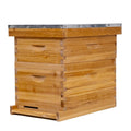 8 Frame Bee Hive Complete Beehive Kit,Honey Bee Hives Includes 1 Deep Bee Boxes, 1 Bee Hive Super with Beehive Frames and Foundation