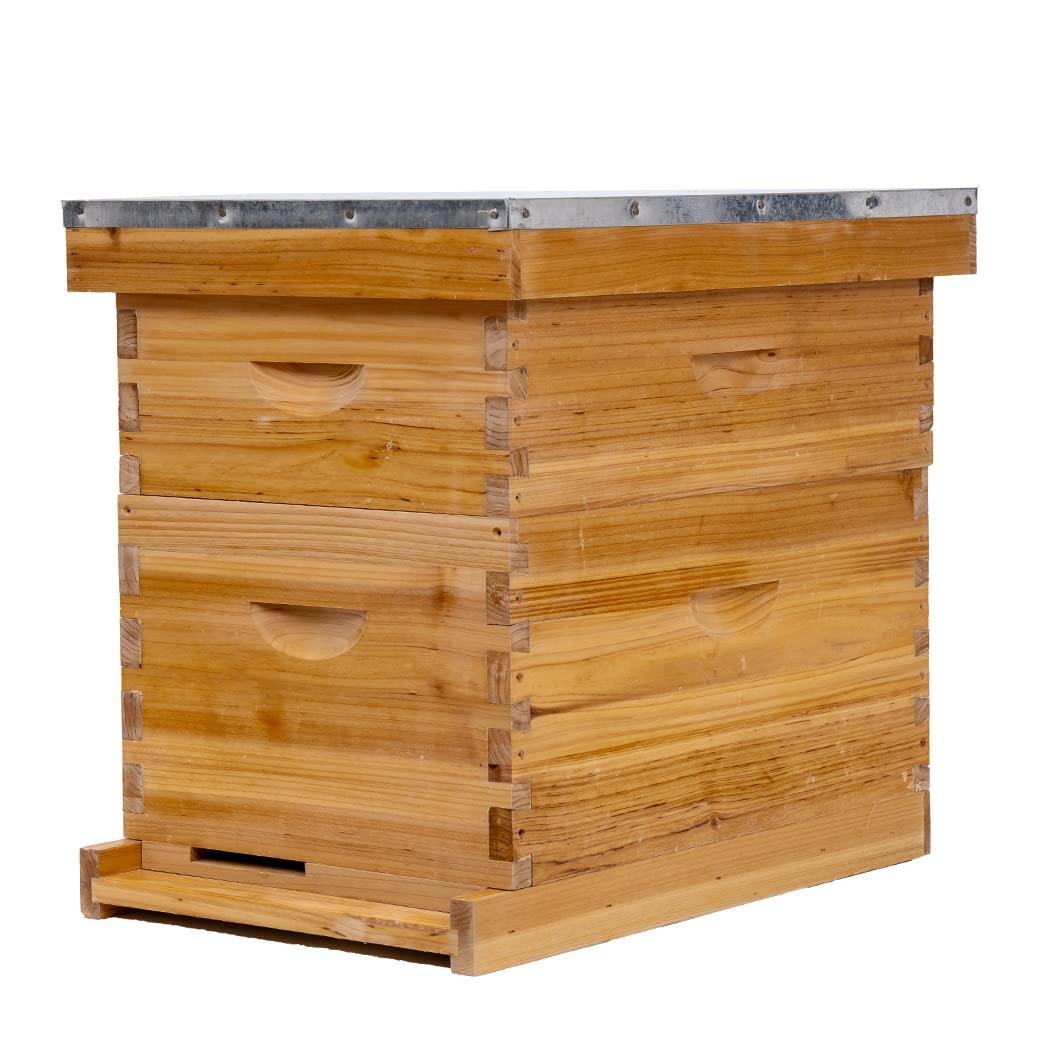 8 Frame Bee Hive Complete Beehive Kit,Honey Bee Hives Includes 1 Deep Bee Boxes, 1 Bee Hive Super with Beehive Frames and Foundation