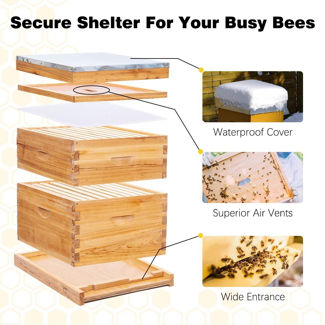 8 Frame Bee Hive Complete Beehive Kit,Honey Bee Hives Includes 1 Deep Bee Boxes, 1 Bee Hive Super with Beehive Frames and Foundation