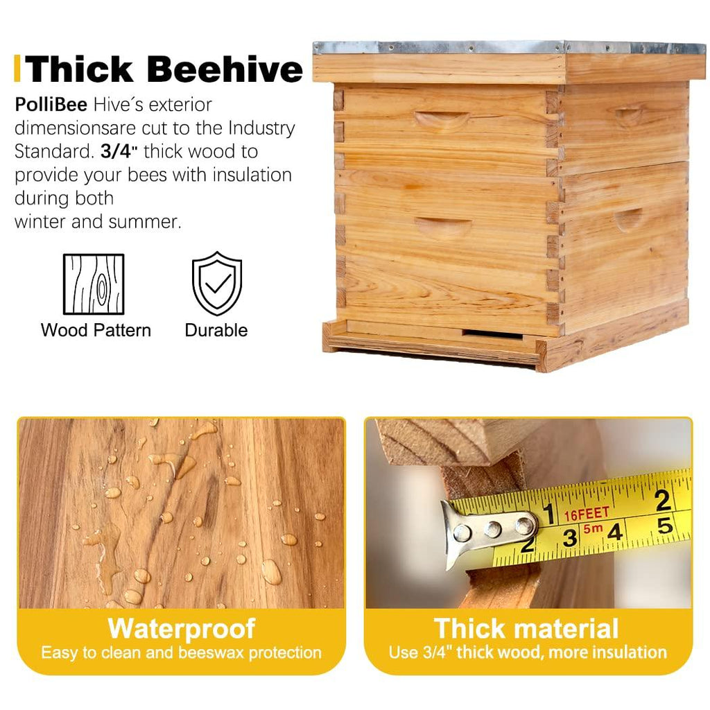 8 Frame Bee Hive Complete Beehive Kit,Honey Bee Hives Includes 1 Deep Bee Boxes, 1 Bee Hive Super with Beehive Frames and Foundation