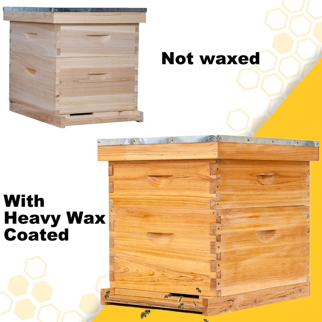 8 Frame Bee Hive Complete Beehive Kit,Honey Bee Hives Includes 1 Deep Bee Boxes, 1 Bee Hive Super with Beehive Frames and Foundation
