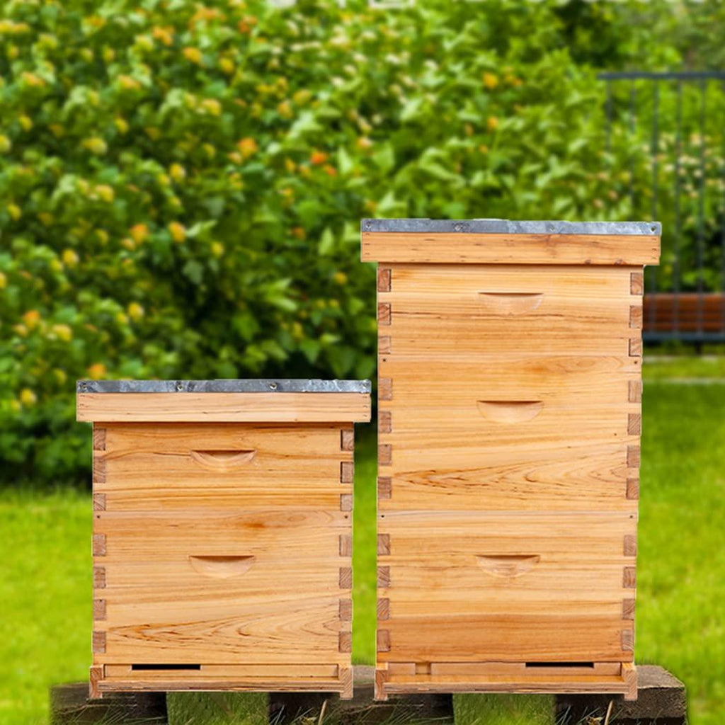 8 Frame Bee Hive Complete Beehive Kit,Honey Bee Hives Includes 1 Deep Bee Boxes, 1 Bee Hive Super with Beehive Frames and Foundation