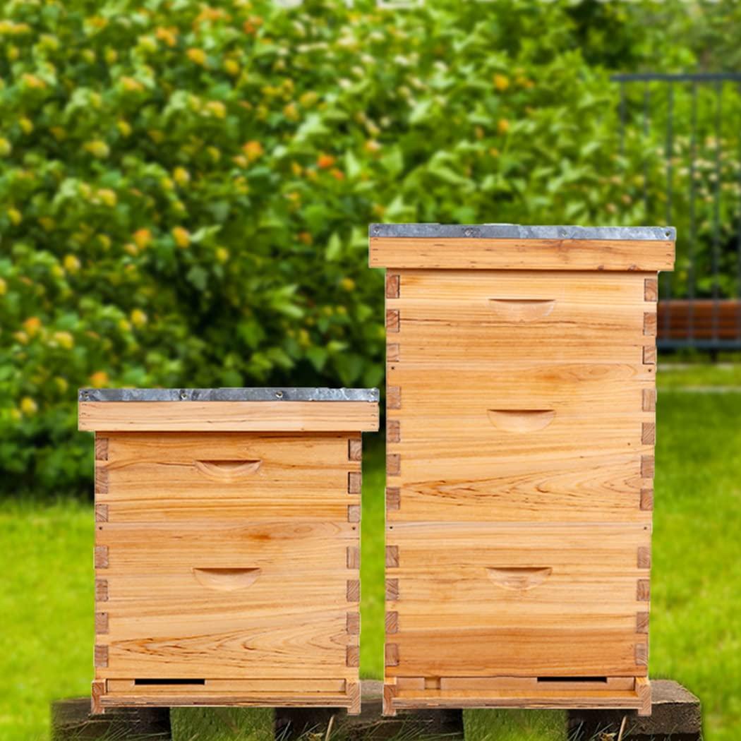 8 Frame Bee Hive Complete Beehive Kit,Honey Bee Hives Includes 1 Deep Bee Boxes, 1 Bee Hive Super with Beehive Frames and Foundation