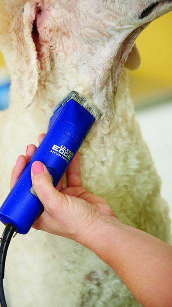 Andis 22405 Ultra EdSpecial Edition Clipper - Blue