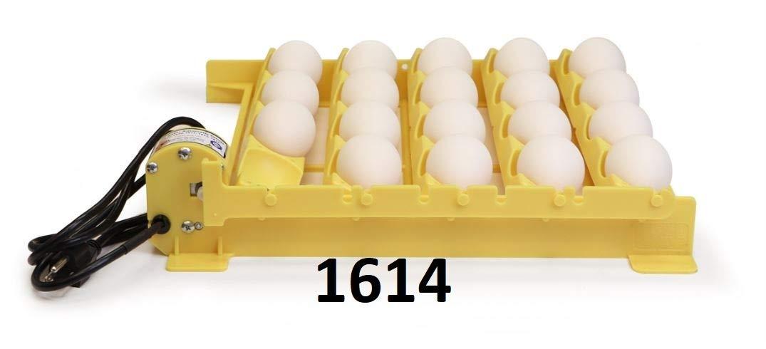 G.Q.F. Manufacturing 1602N Hova-Bator Incubator (Optional Egg Turner) (1614 Automatic LarEgg Turner)