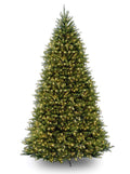 National Tree Company 10' Dunhill Fir Hinged Tree with 1200 Clear Lights