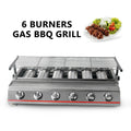 Steel 6 Burners LPG Barbecue BBQ Grill Grill Size 790*250mm Garden