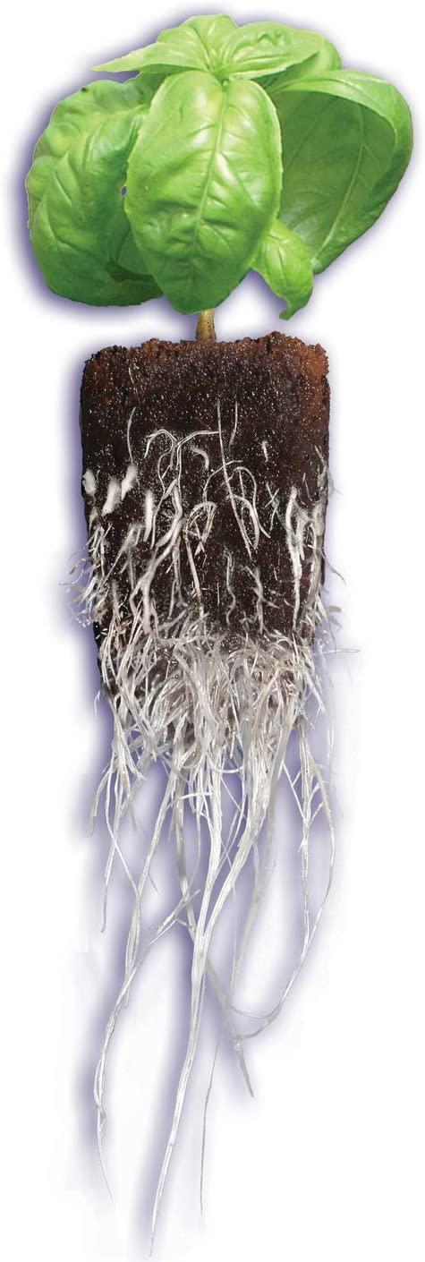 General Hydroponics HGC714150 Rapid Rooter Plant Starters Bulk Plugs, 1400 Count