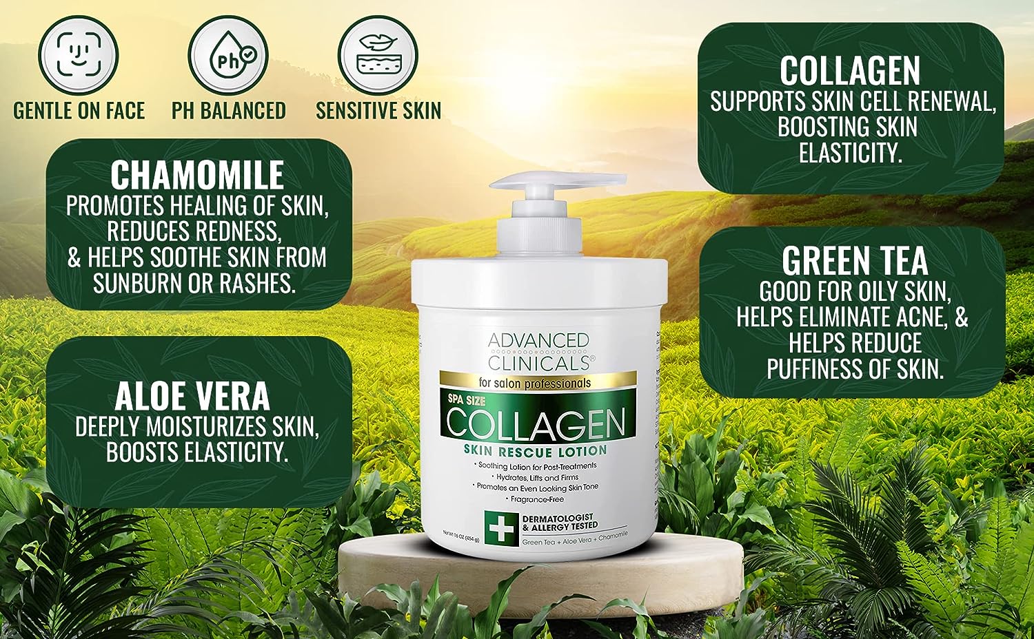 Advanced Clinicals Retinol Body Cream &amp; Collagen Body Lotion Skin Care Set. Anti-Aging Body &amp; Face Moisturizing Creams Repair Wrinkles, Fine lines, &amp; Firm Sagging Skin. 16 Oz (2-Pack Bundle)