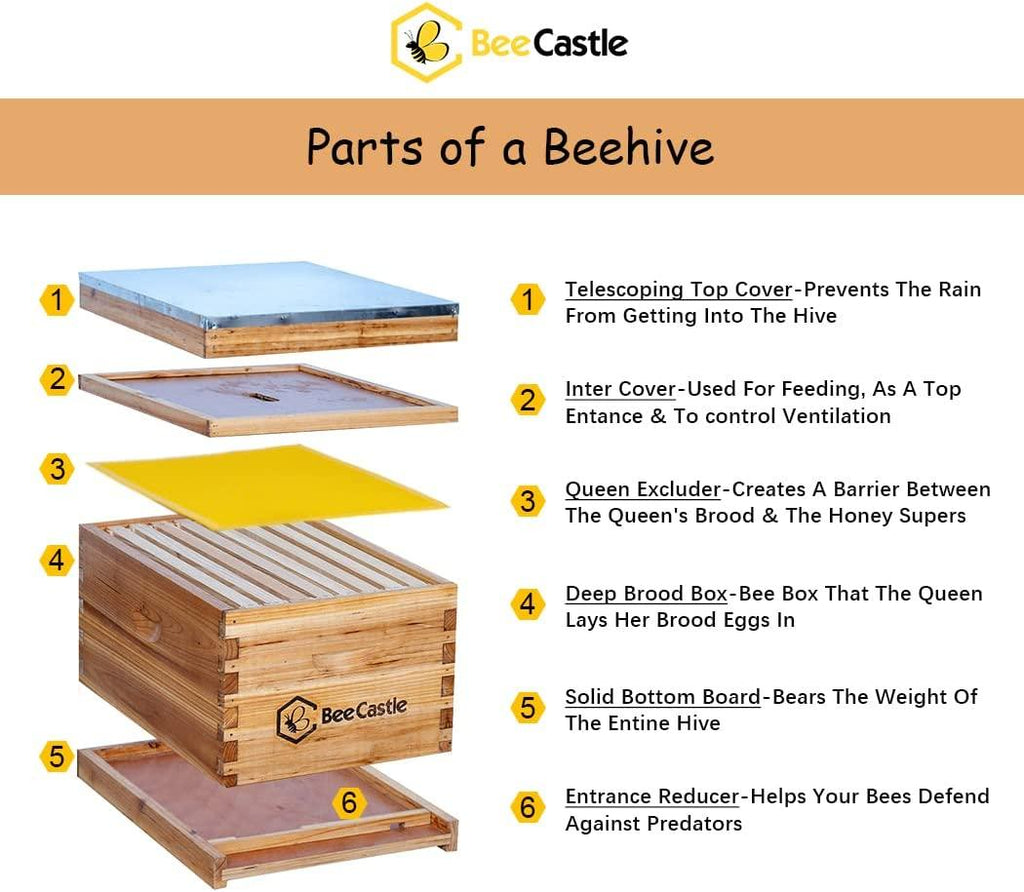 8-Frame Bee Hives and Supplies Starter Kit,Beehive Kit Dipped in Beeswax,Bee Keeping Supplies-All Beginners Kit Includes Beekeeping Supplies Tool Set and Bee Suit.