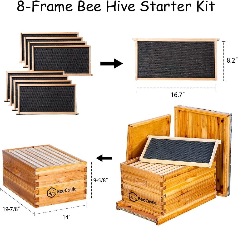 8-Frame Bee Hives and Supplies Starter Kit,Beehive Kit Dipped in Beeswax,Bee Keeping Supplies-All Beginners Kit Includes Beekeeping Supplies Tool Set and Bee Suit.