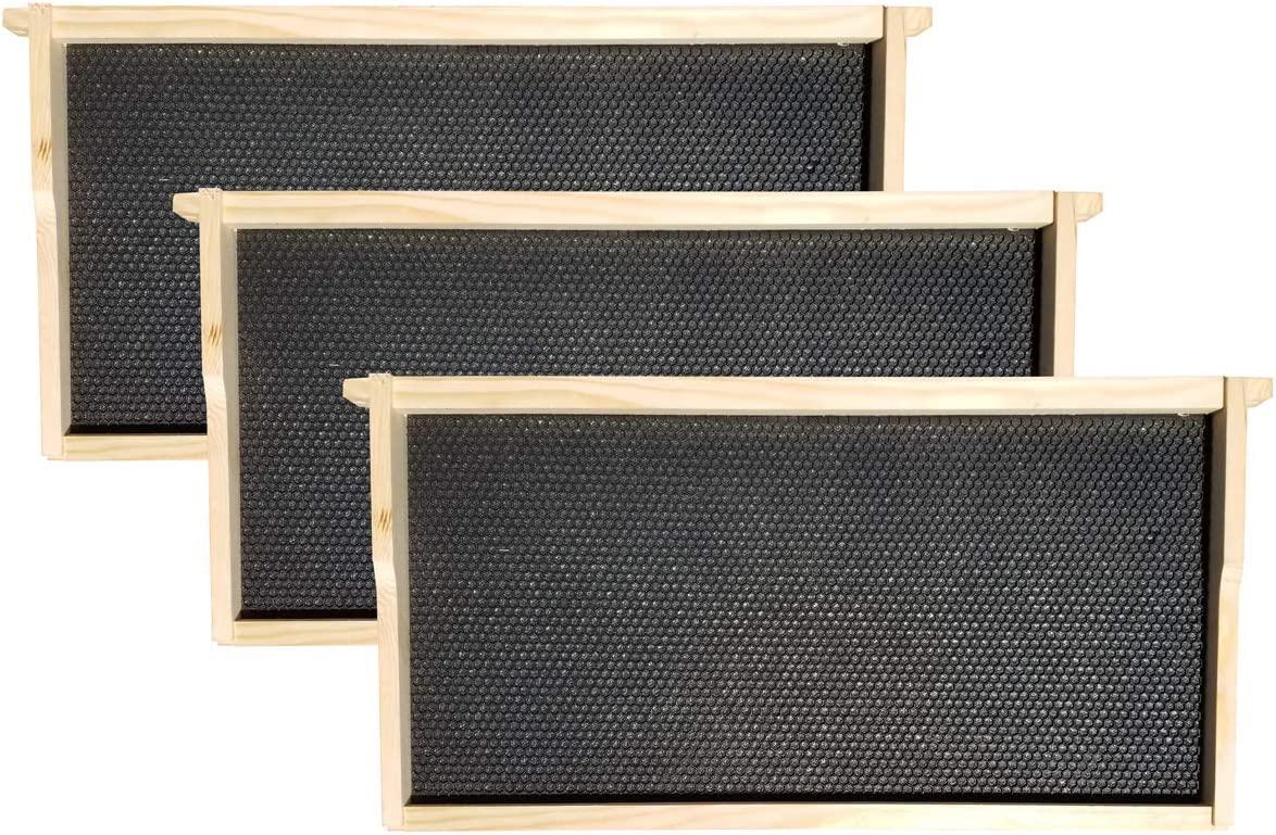 Amish Made in USA Complete Langstroth Beehive - The Starter Kit (Full Hive with 1 Deep & Accessories)