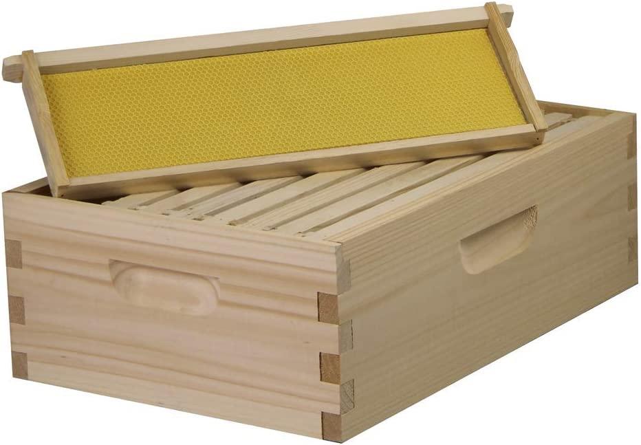 Amish Made in USA Complete 8 Frame Langstroth Bee Hive includes Frames and Foundations (2 Deep, 1 Medium)