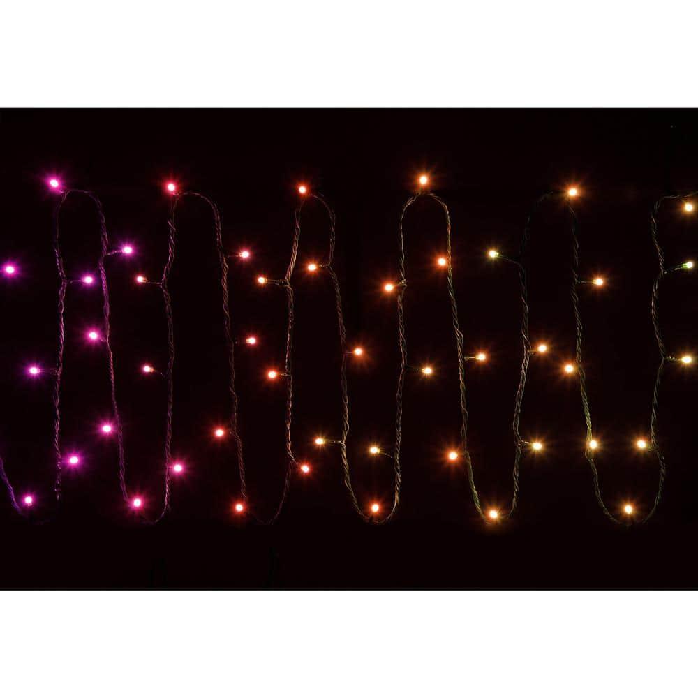 Twinkly App Controlled Wrapped Dome Lights, 50, Multi Color (6 Pack)