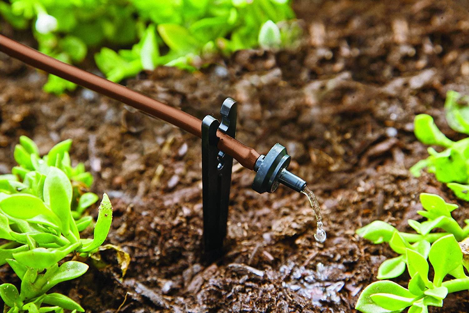Raindrip SDFSTH1P Automatic Watering Kit with Timer, Black Brown