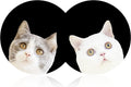 Cute Cat Funny Cat Car Coasters, 2PCS 2.75" Car Cup Holder Coasters Silicone Car Cup Holder Insert Coasters for Women Car Interior Accessory by FLYEEGO