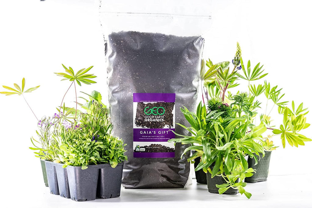 The Good Earth Organics, Gaia's Gift Premium Potting Soil, Organic Potting Soil for Heavy Feeding Plants Like Tomatoes, Hops & More (10 Gallon)